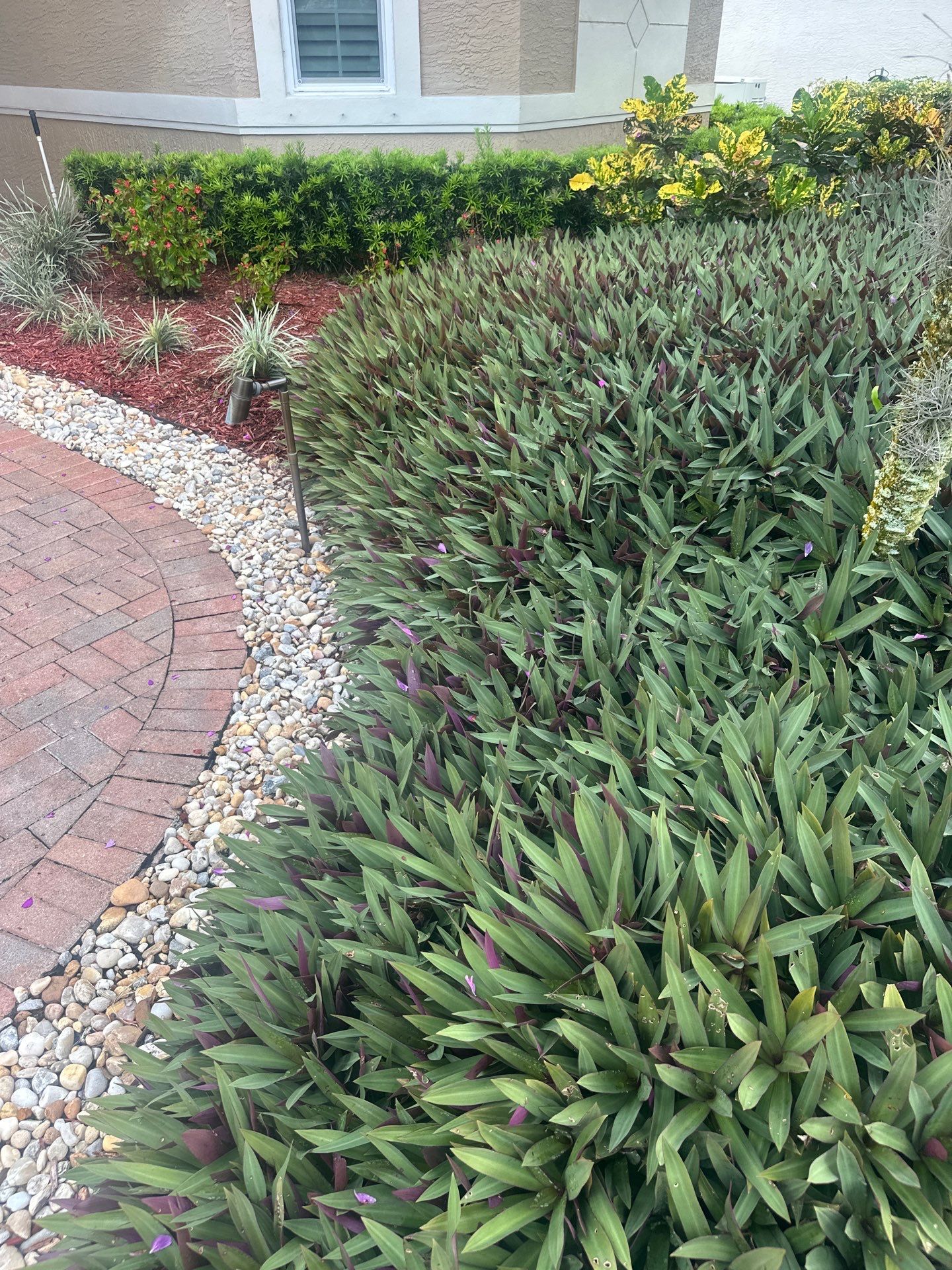 🌴✨ HAMMOCK CREEK SIGNATURE CLEANUP — THE ALPHA ZETA WAY ✨🌴 by Alpha Zeta Enterprises Inc