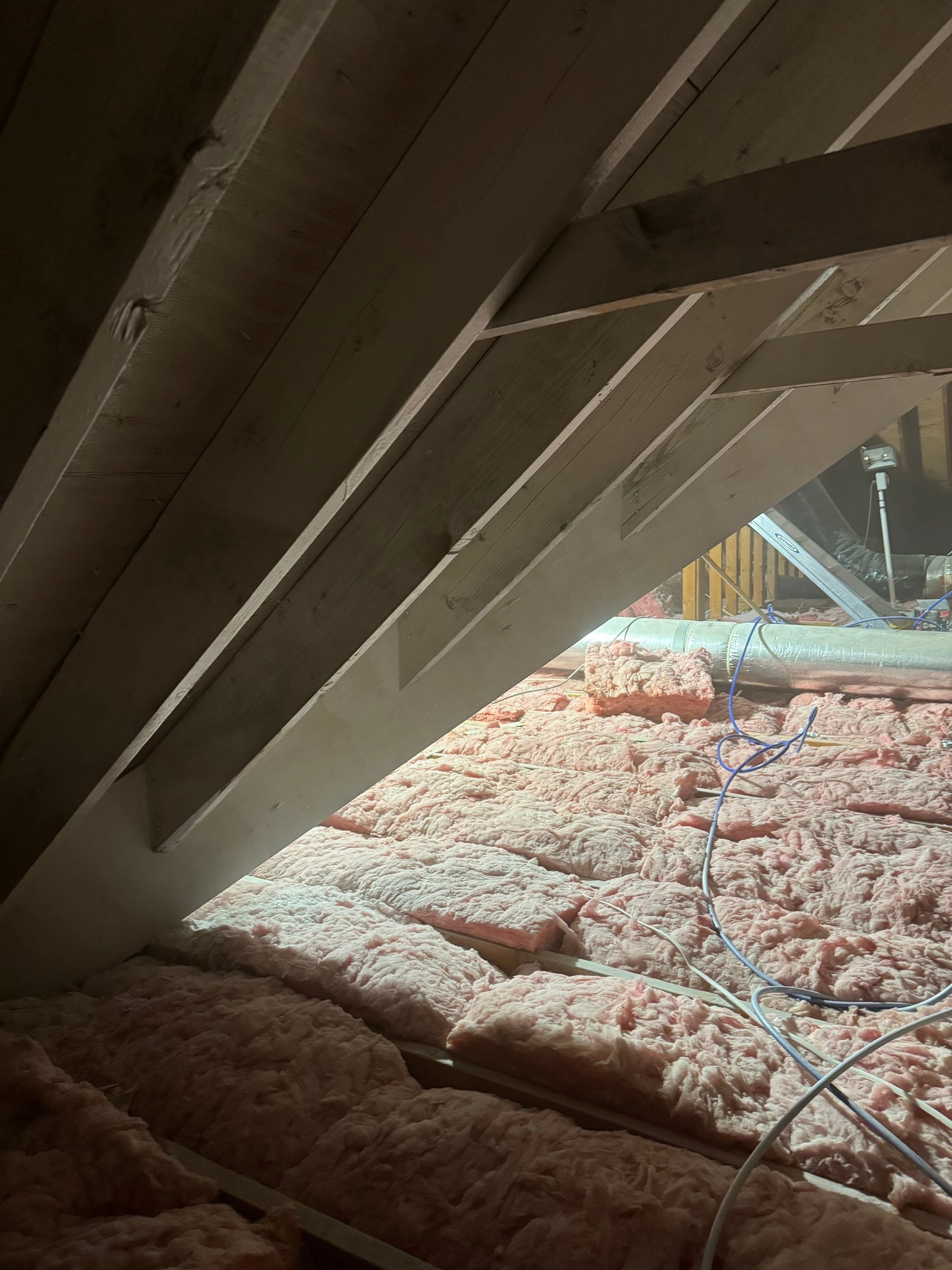 Interior French Drain With Radon Seal & Mold Remediation in Wall Township by Pure Service Pro, LLC 