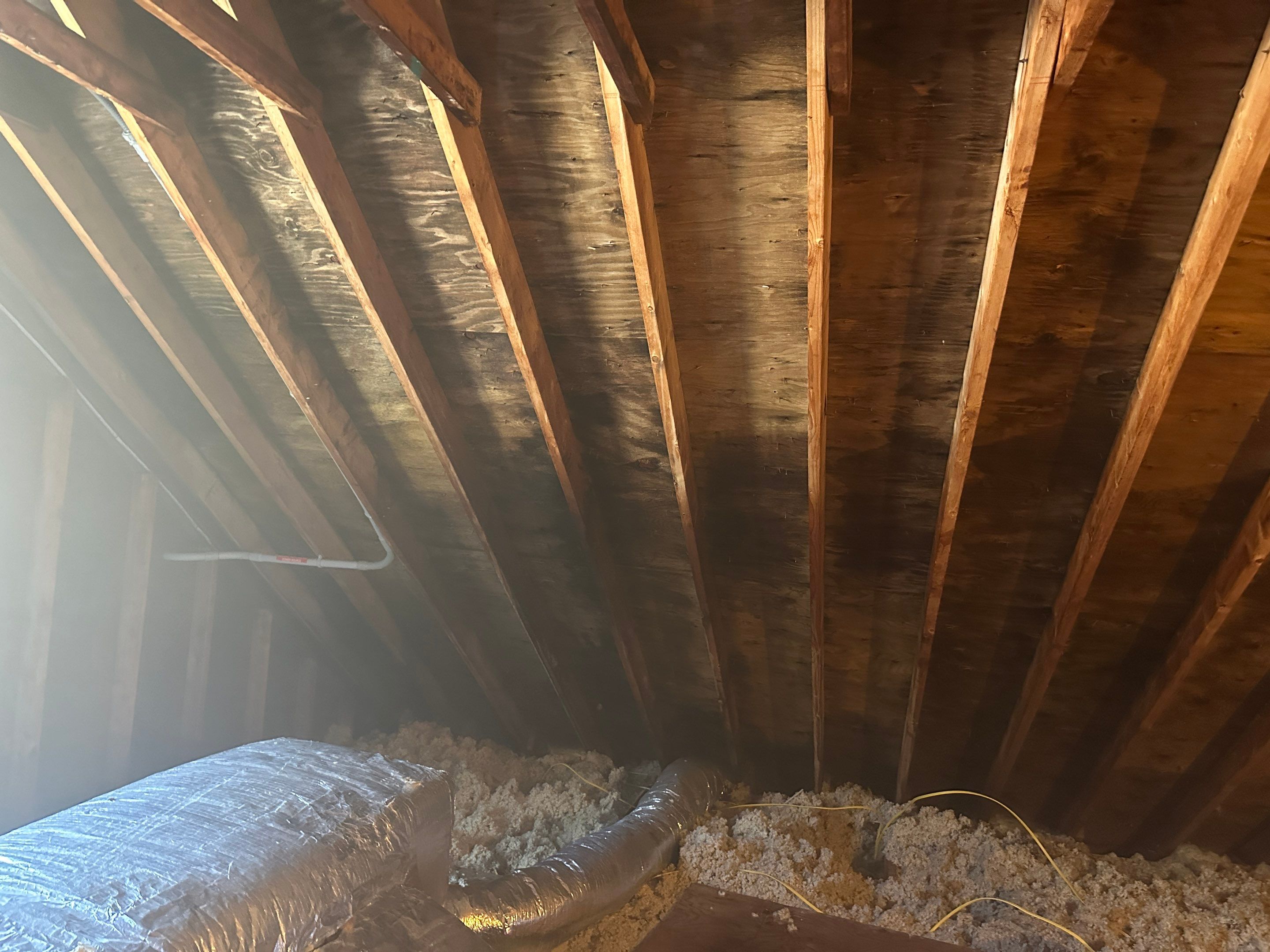 Attic Mold Remediation by Home Guarantee, LLC