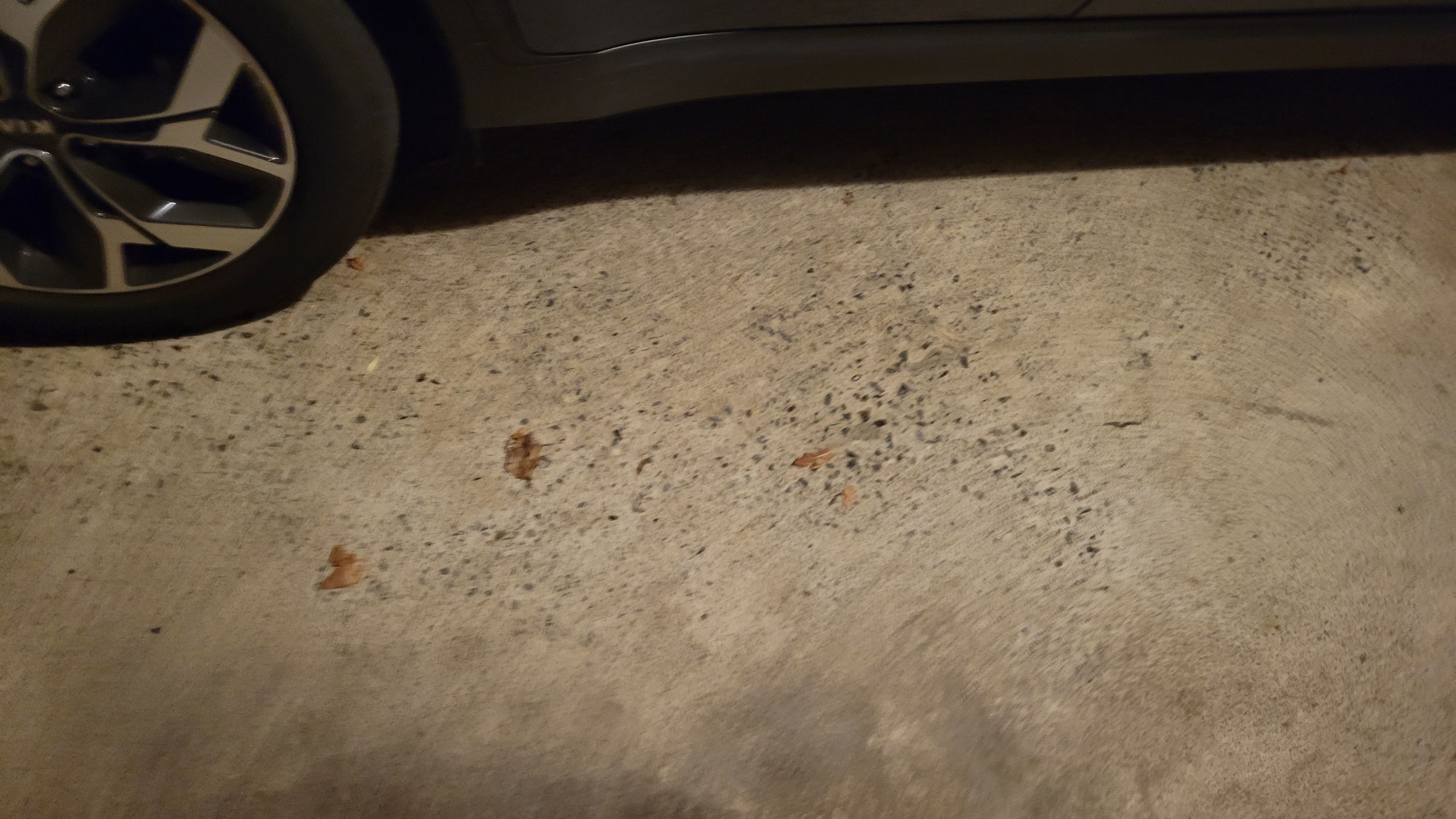 Slatestone Garage Floor by Spectrum Painting, LLC