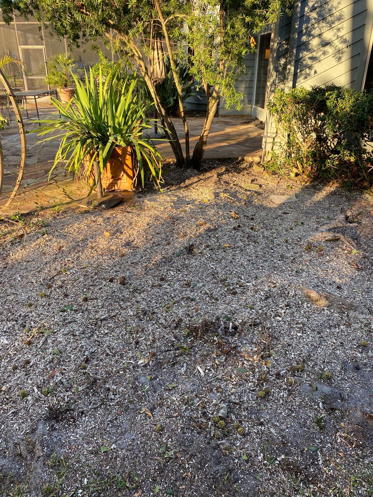 Deerwood Resident | Tree Trimming & Removal by ProGreen Services