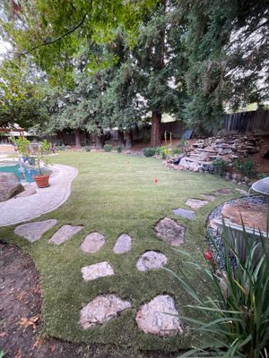 Project in Danville