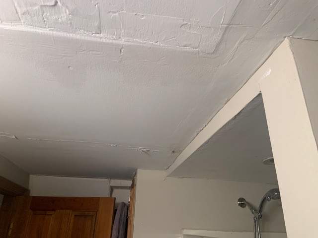 Ceiling & Shower Repair by A1 NERDY HOMES LLC