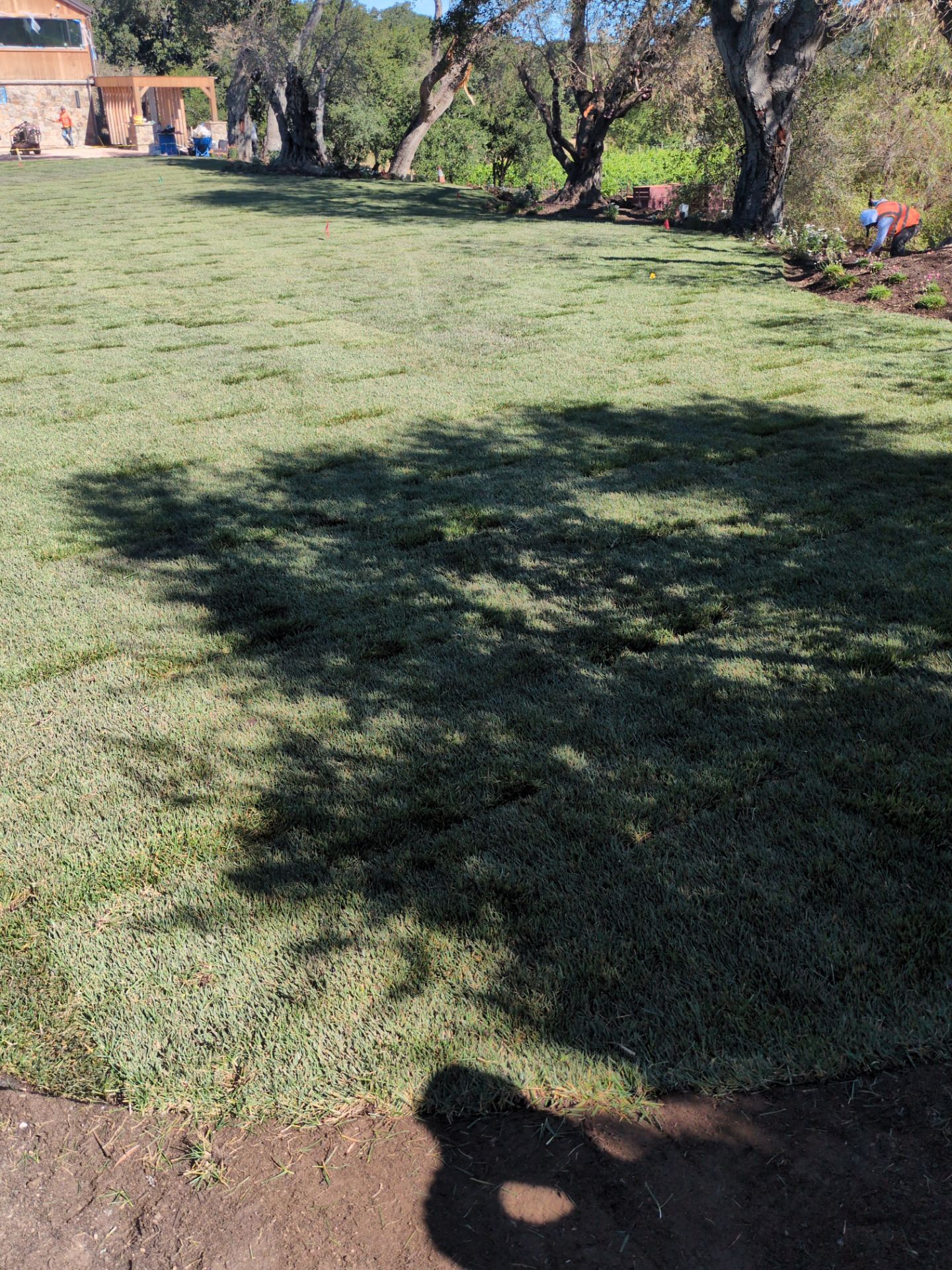 Project in Napa by A - G Sod Farms