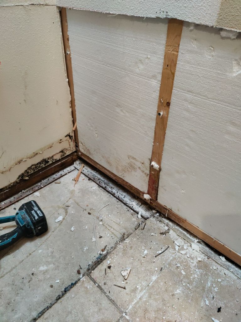 Mold Remediation by Accountable Home Services