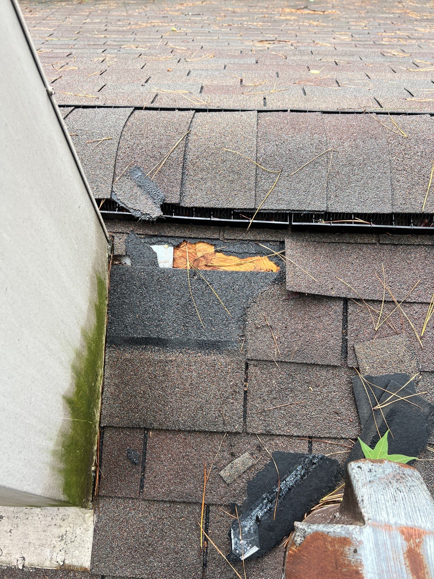 Roof Repair Spring by Roof Repair Company