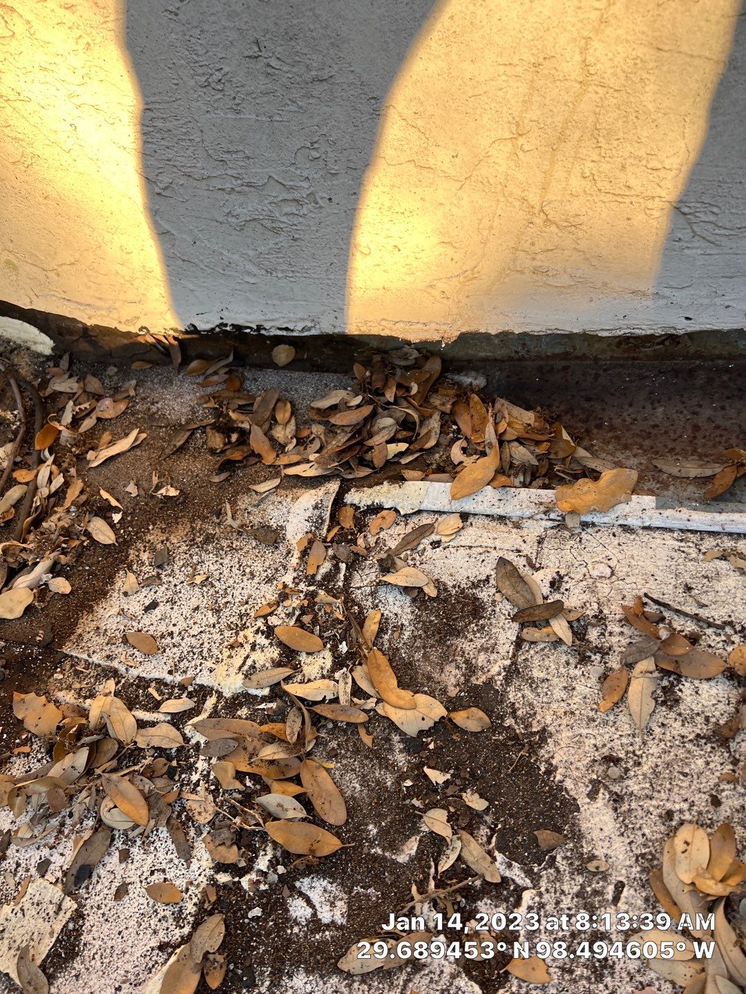 Residential Flat Roof Replacement using Mulehide Modified Bitumen Roofing by Premier Roofing and Contracting