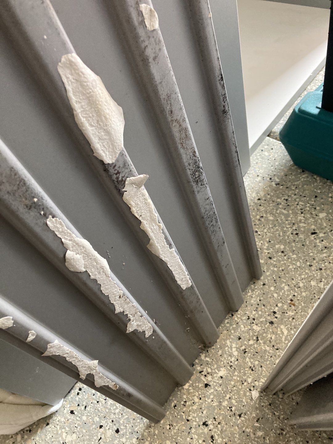 Mold Remediation using Containment by Accountable Home Services