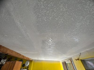 Rick's Interior & Full Re-Roof