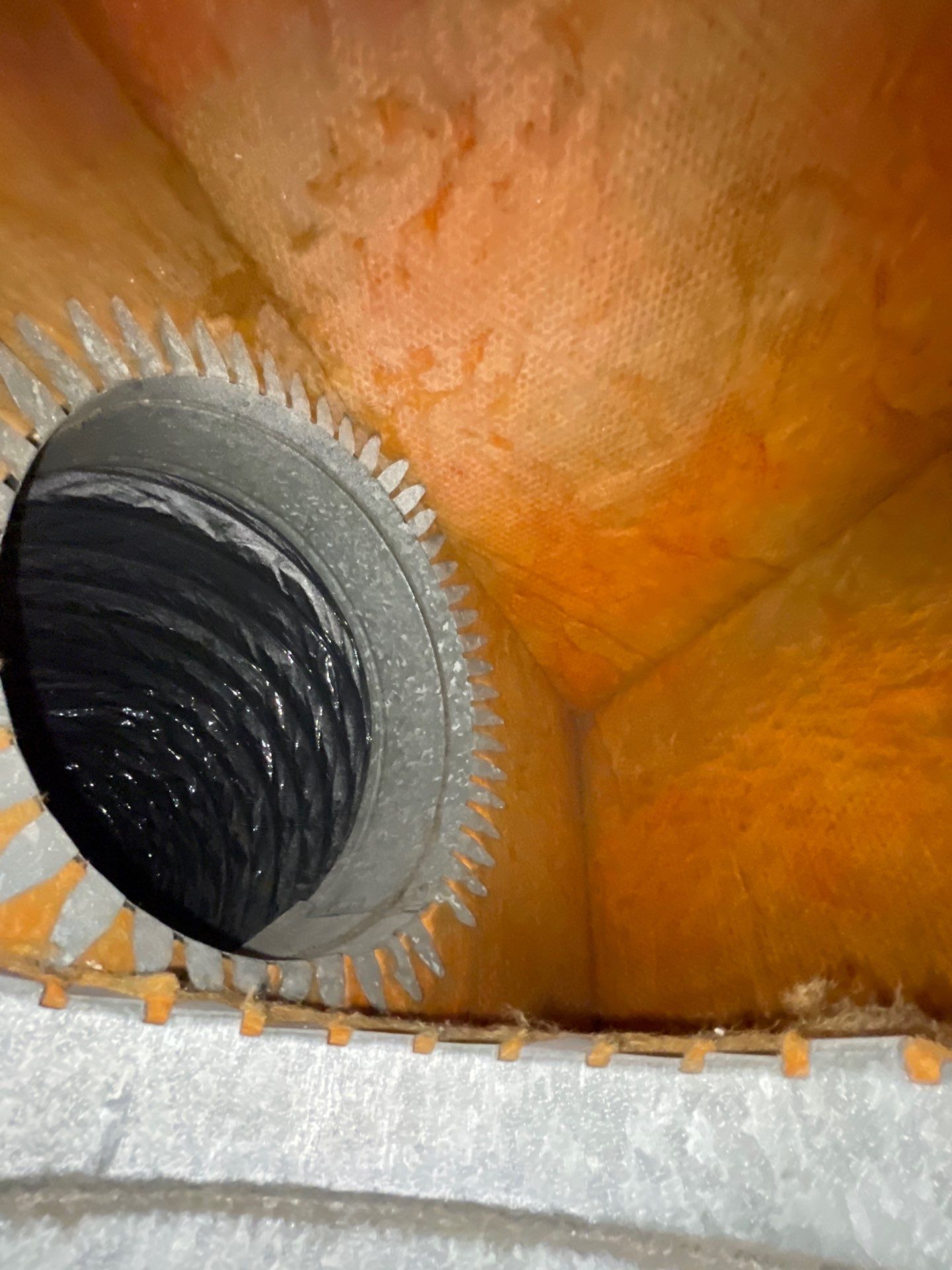 Air Duct Cleaning in Bartow by Hygienic Air, Inc