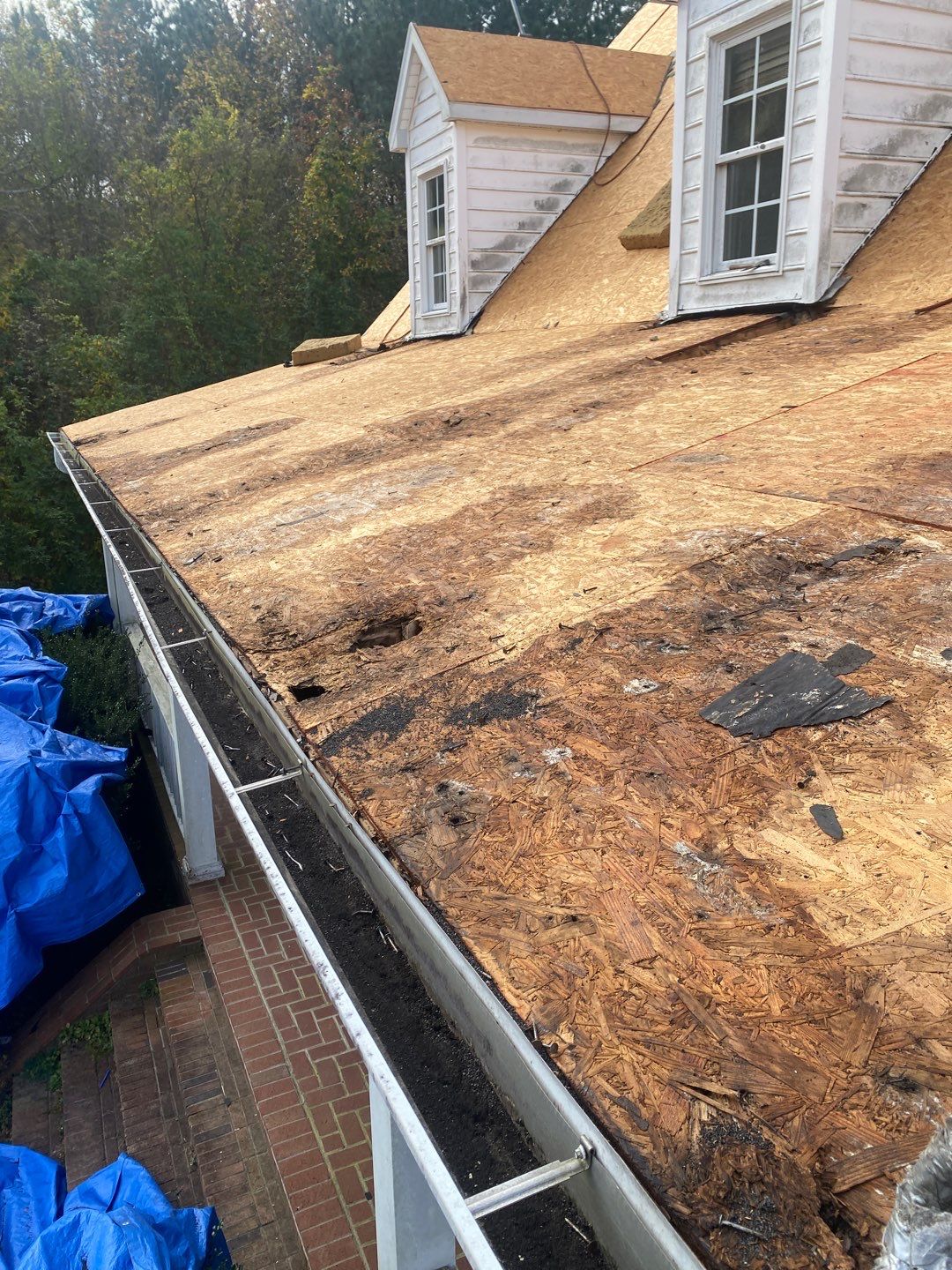 Project in Creedmoor - Certainteed Landmark Silver Birch by Pro Performance Roofing