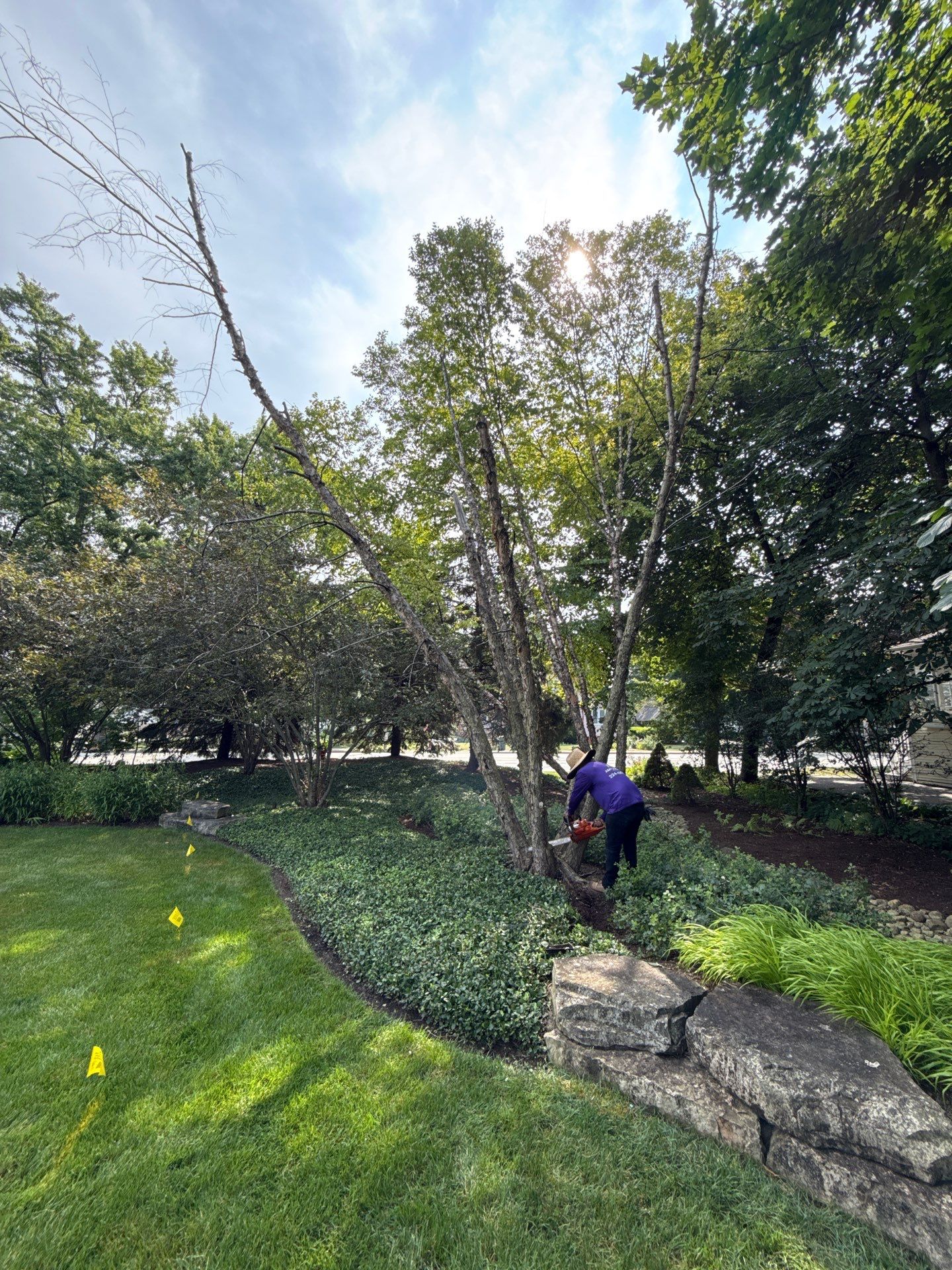 Scott M. - Arlington Heights, IL by A&N
