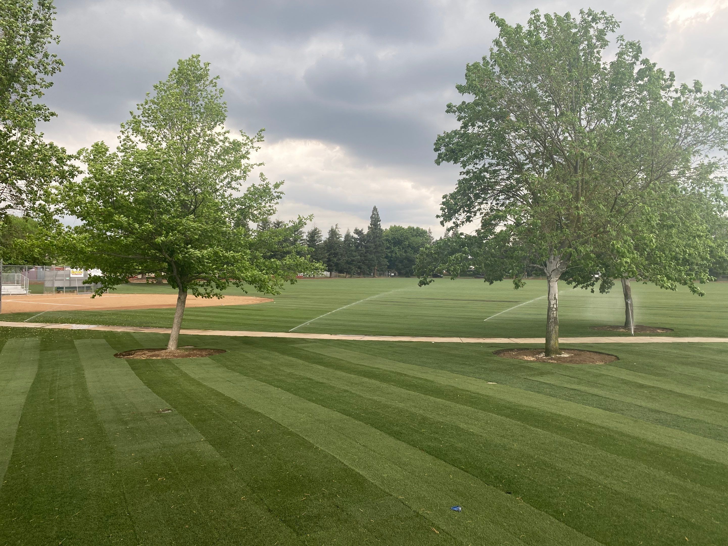 Project in Carmichael by A - G Sod Farms