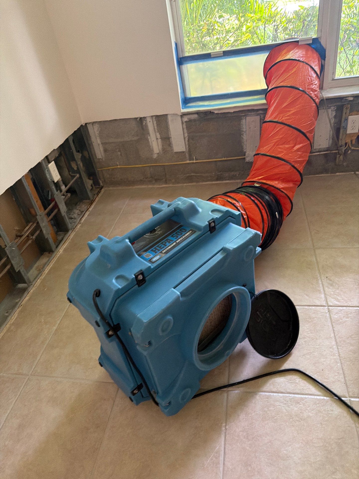 Professional Mold Remediation and Structural Drying in Wellington by SuperClean 