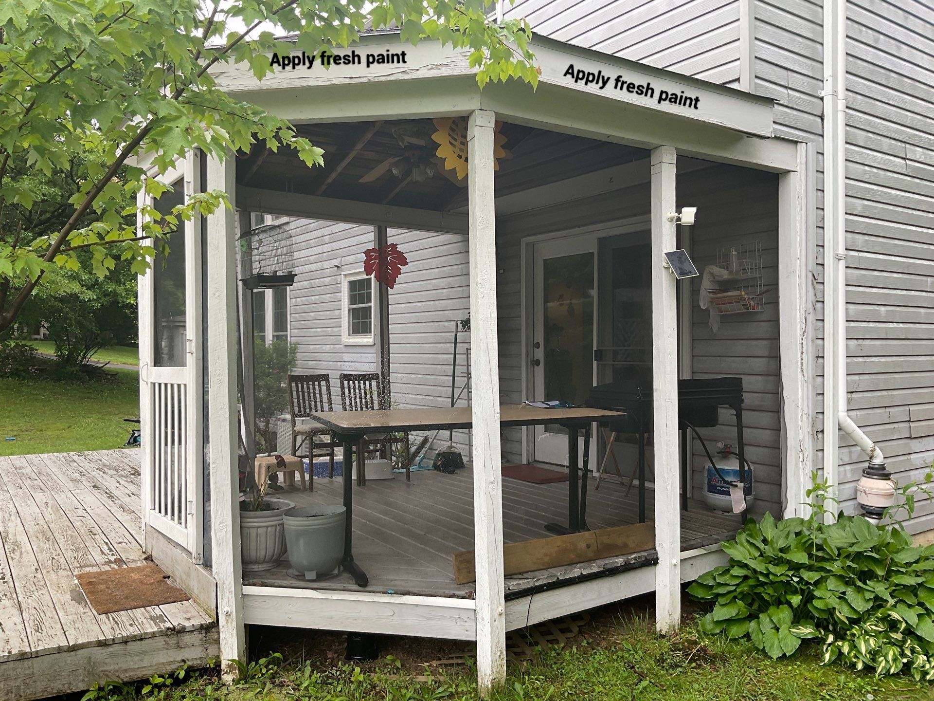 Deck coating  by Alpha Design Services
