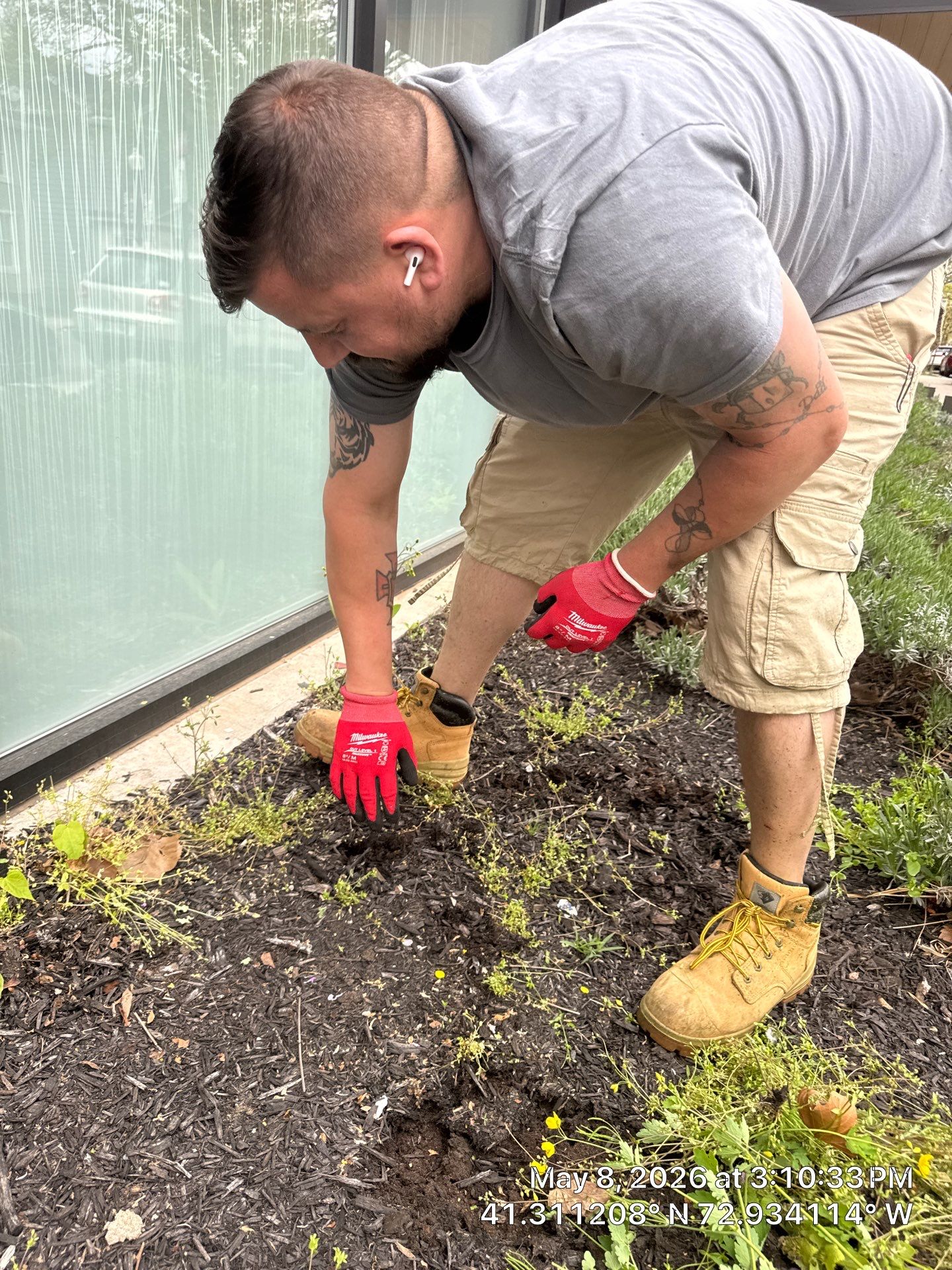 Modern Commercial Landscaping and Grounds Maintenance in New Haven by Diamond Image LLC