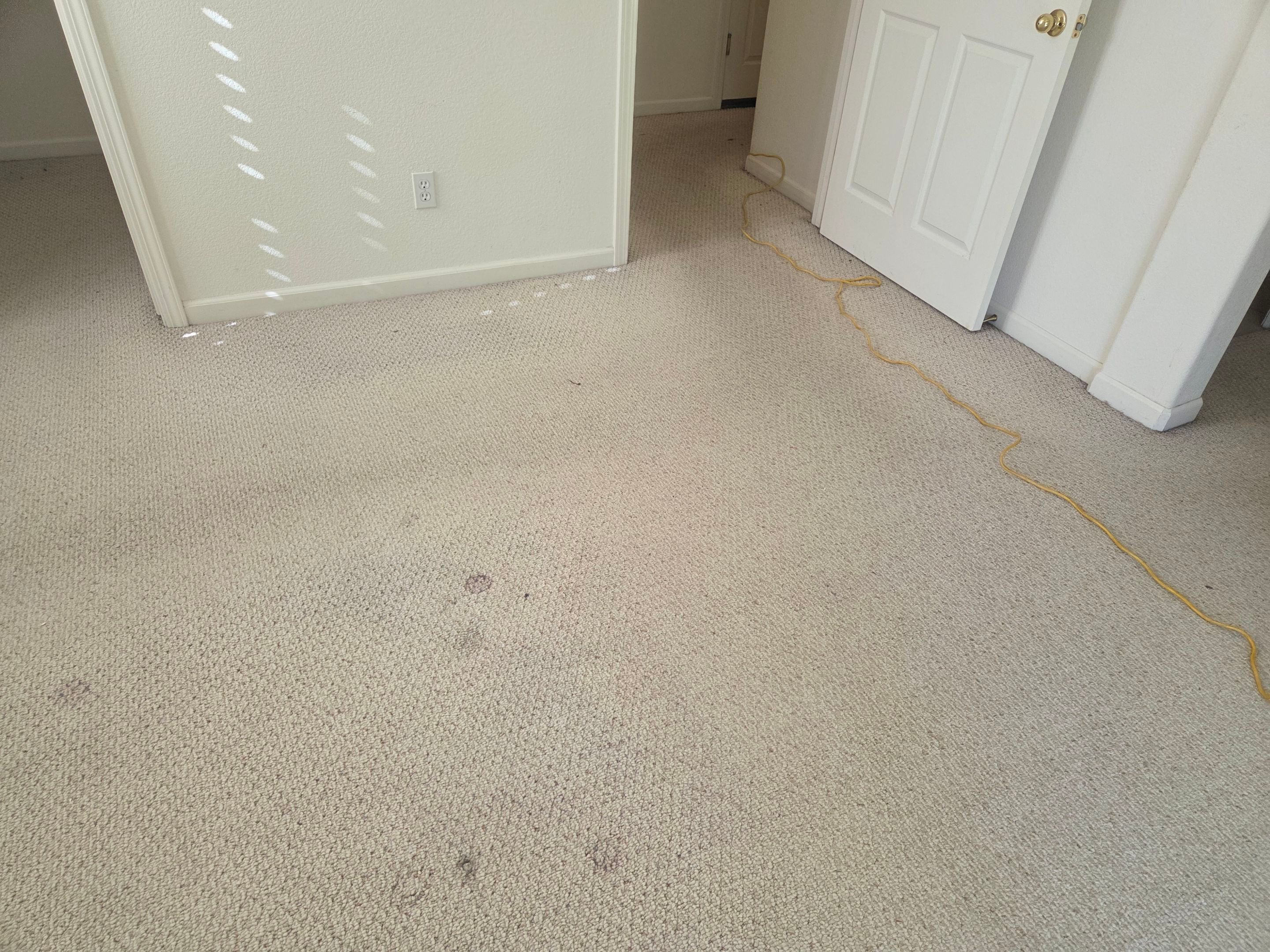 Heavy Carpet Cleaning for a Listing by Ardent Carpet Restore LLC