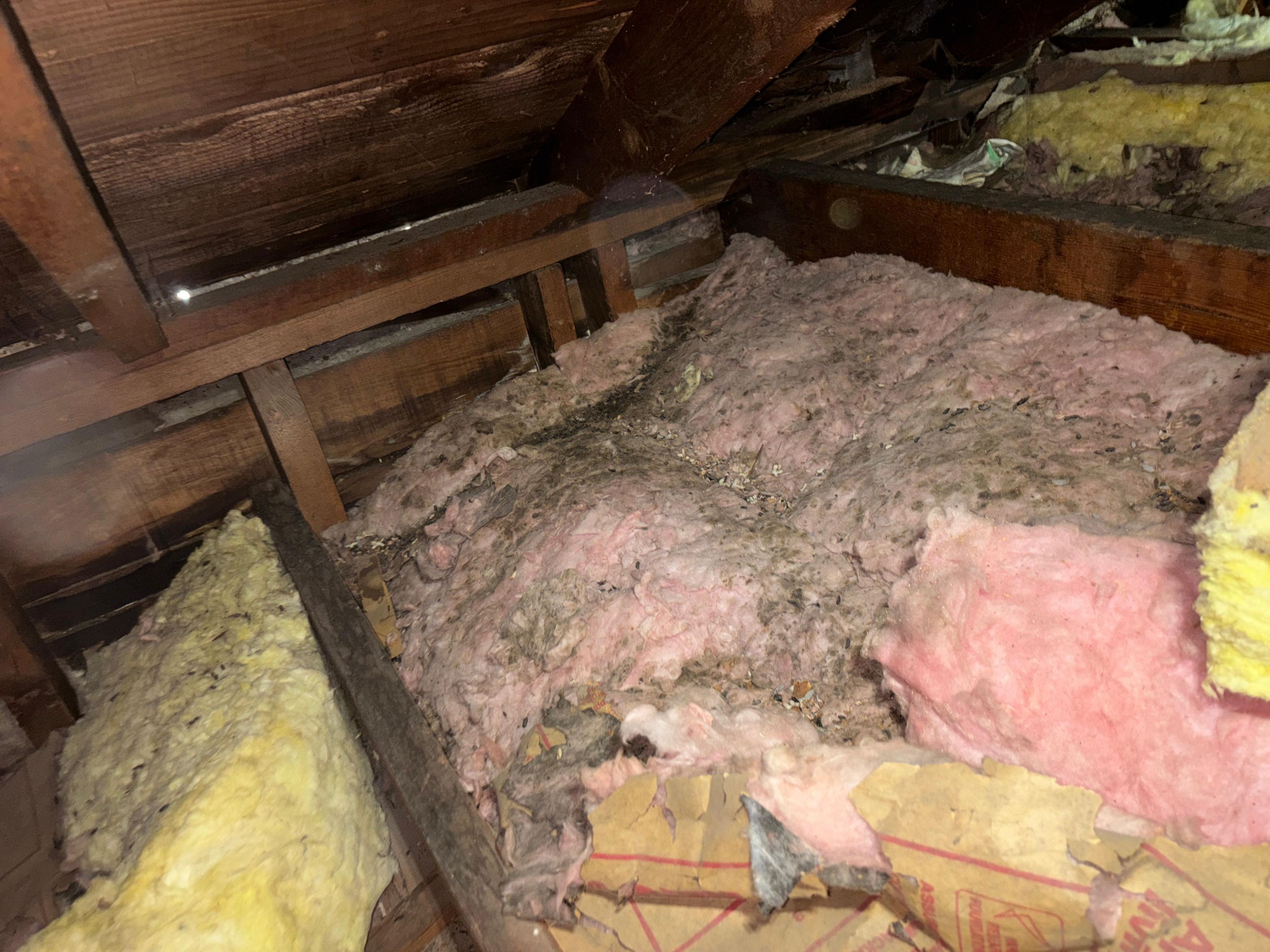 Project in Los Angeles by Insulation Labs