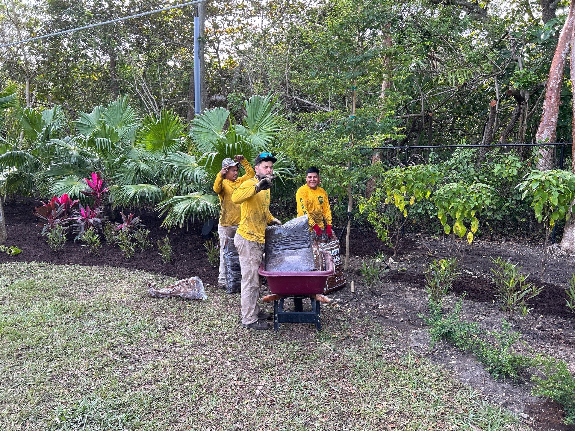 Landscape on New Home in Pinecrest, FL by Nature's Dream Landscape and Tree Service