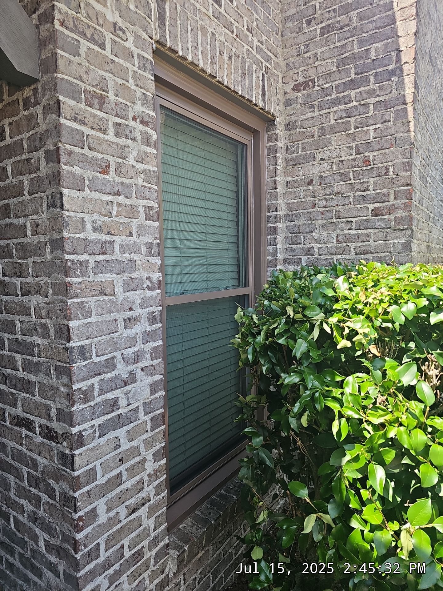 Koch Project in Birmingham by The Window Source