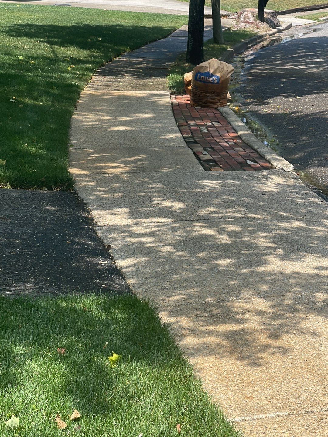 Residential Cleaning using SoftWash by SJ Exterior