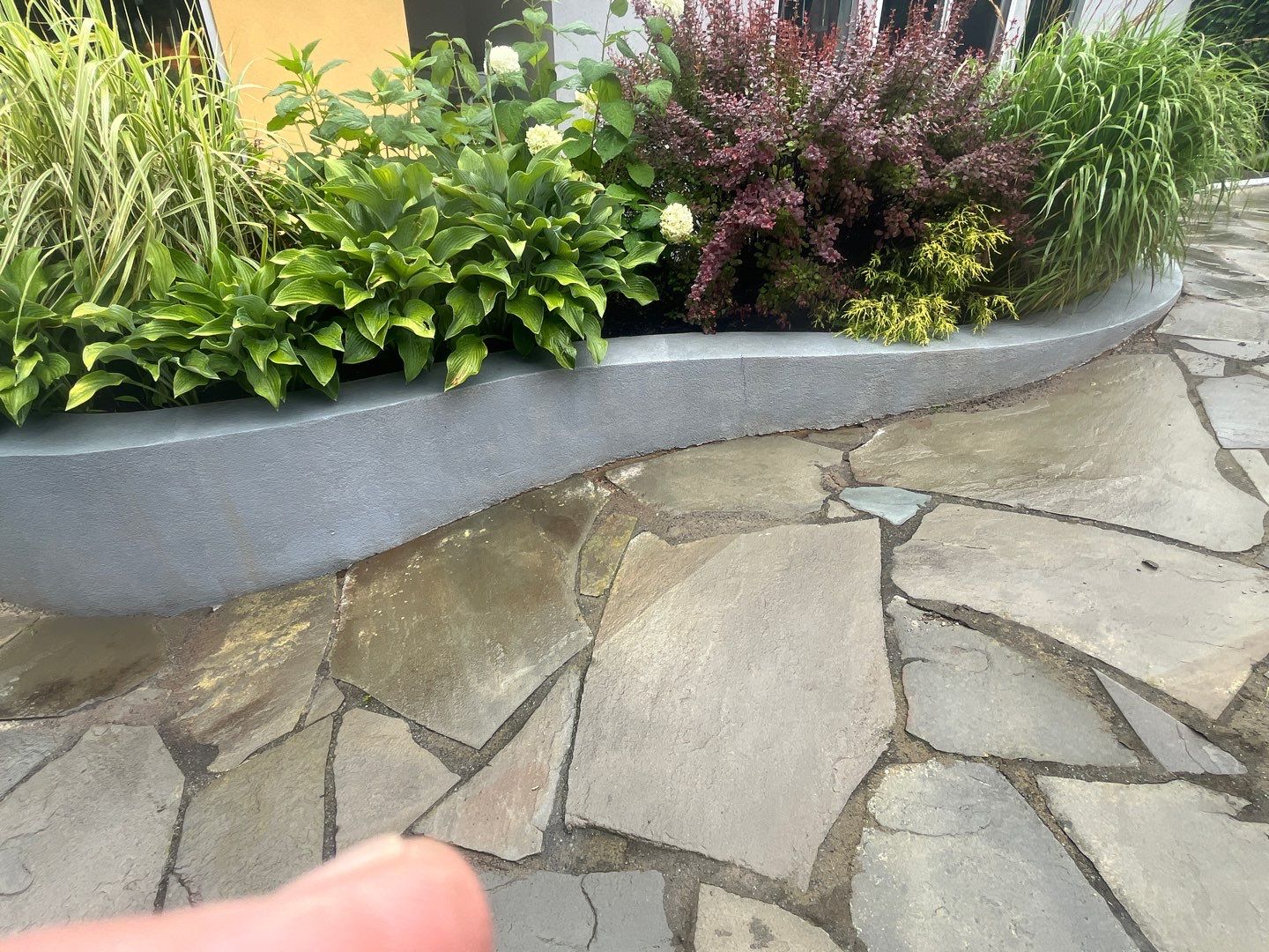 roof washing using Algaecide, soft wash soap by Northern Power Washing LLC.