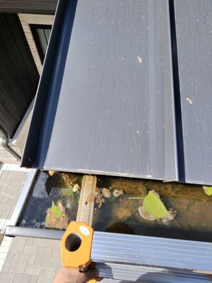 Gutter Protection for Lemont Homes