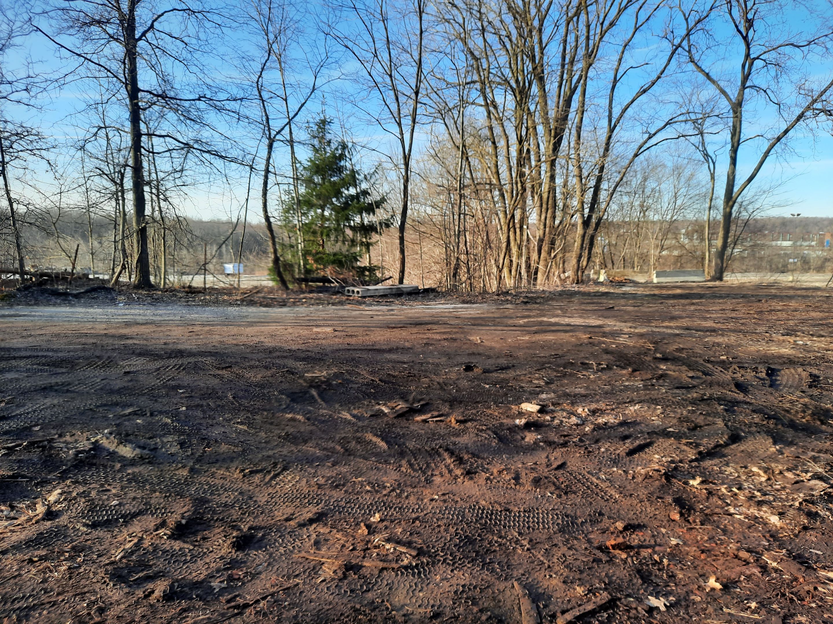 Tree Removal using Tree Removal by Mike Jones & Sons Tree Service LLC 