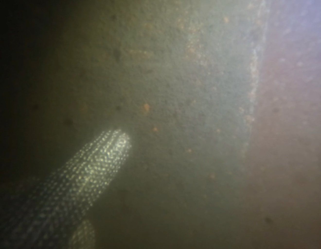 Project in Port Charlotte by Florida Hull Cleaning 