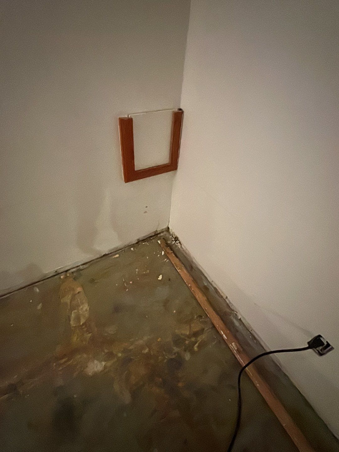 Water Damage by Accountable Home Services
