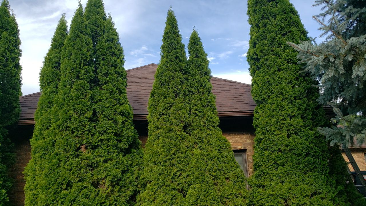 Atlas Pinnacle Pristine Scotchgard: Sienna Drip Edge: Musket Brown by Eagle Eye Roofing