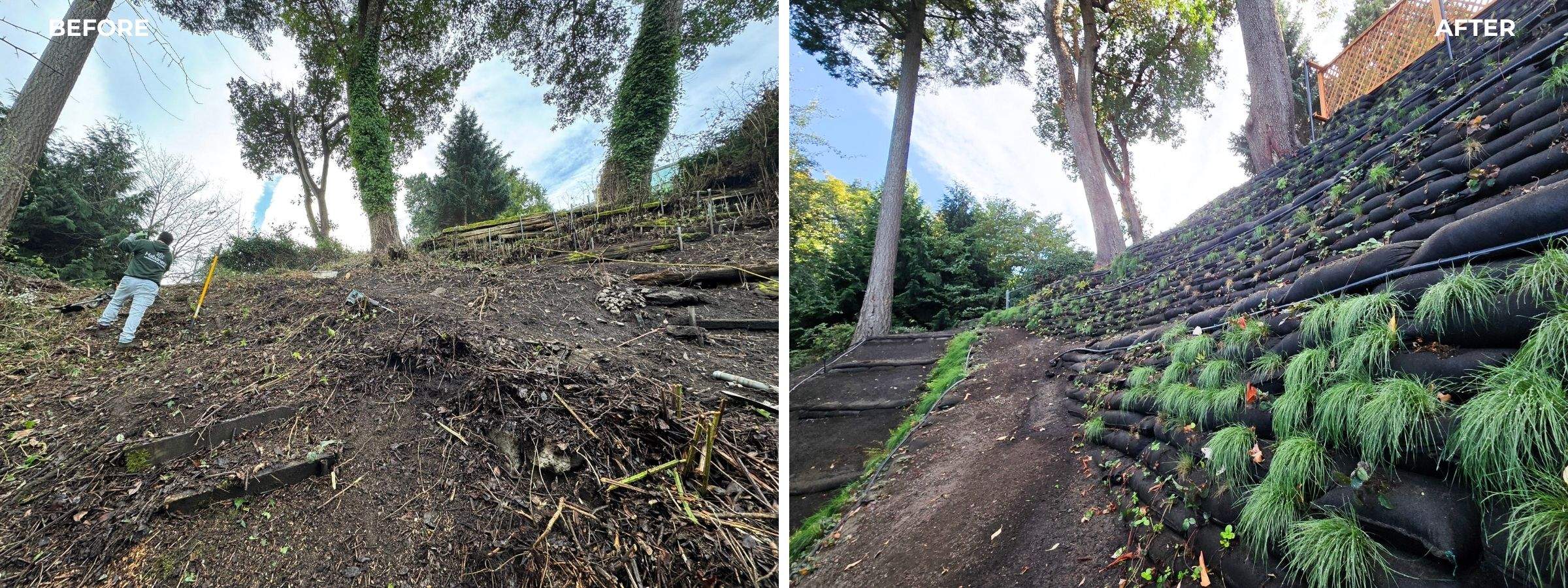 Georgia Park Terrace — Living Slope Transformation by Habanero Landscape Solutions