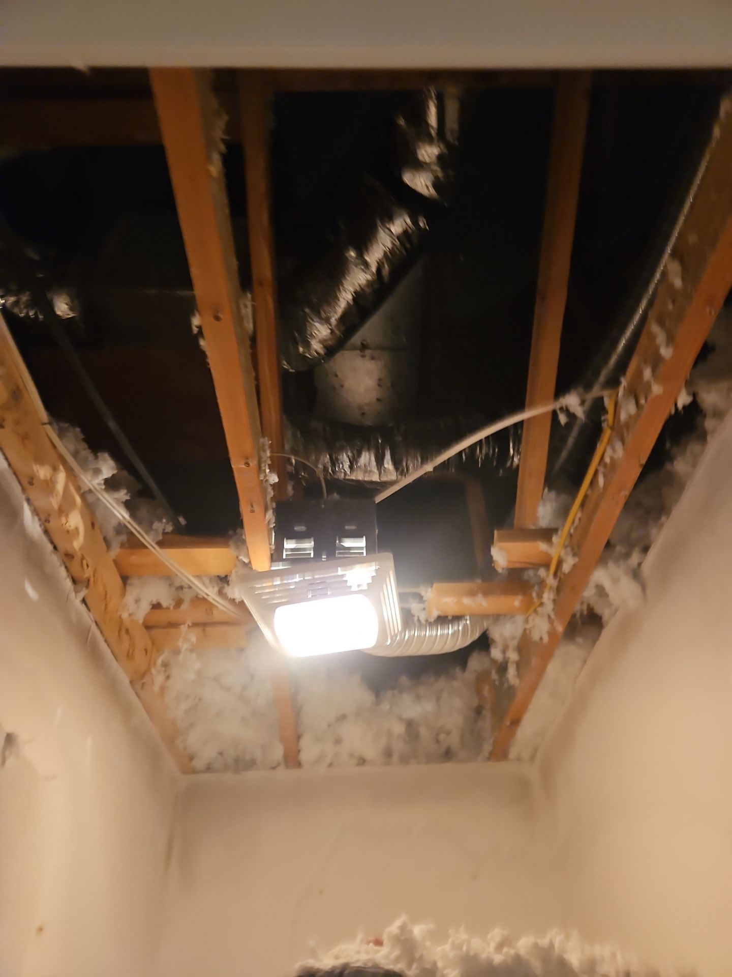 Mold Damage Removal In Palmetto, FL by Ampm Restoration Services