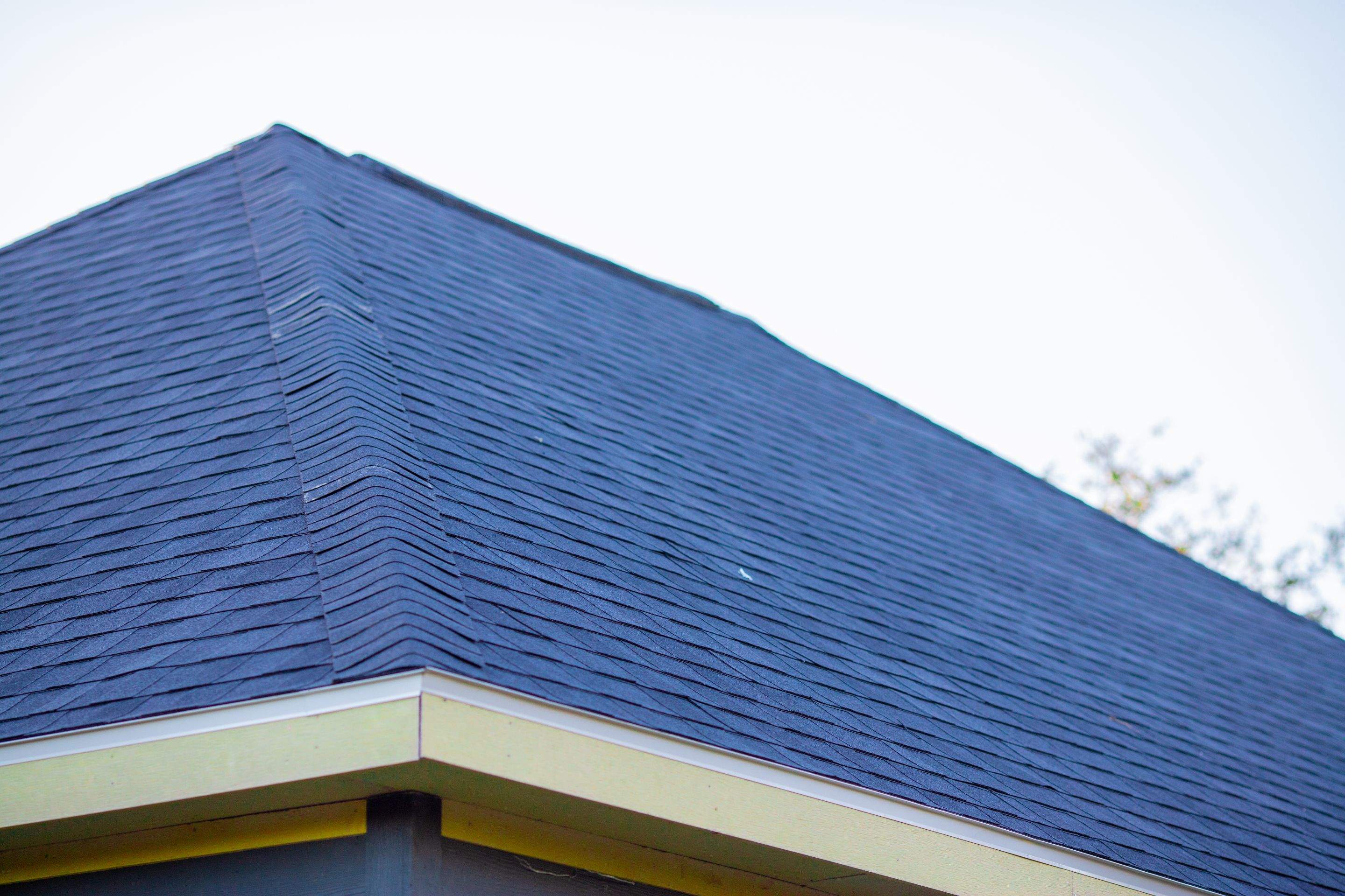 Love Birds Love It by Bayfront Roofing and Construction