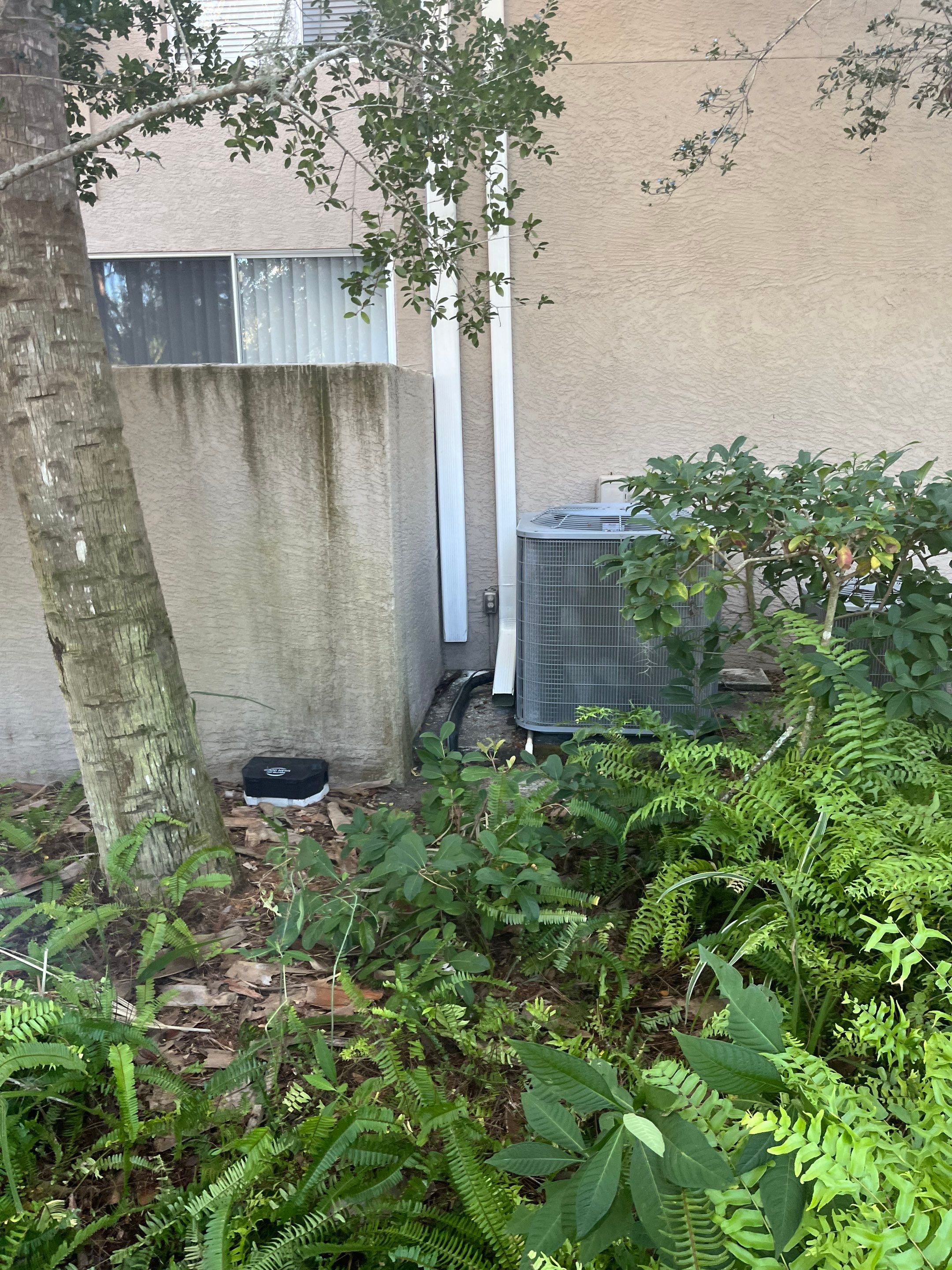 Gutter Cleaning Service in Fort Myers FL by Gutter Professors