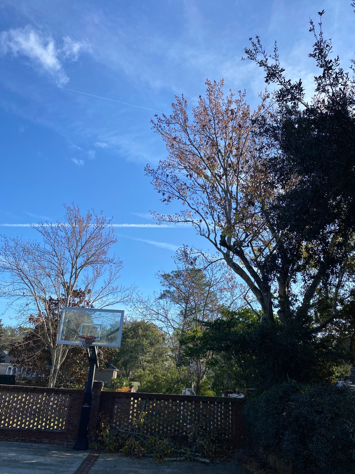 Deerwood Resident | General Landscaping by ProGreen Services