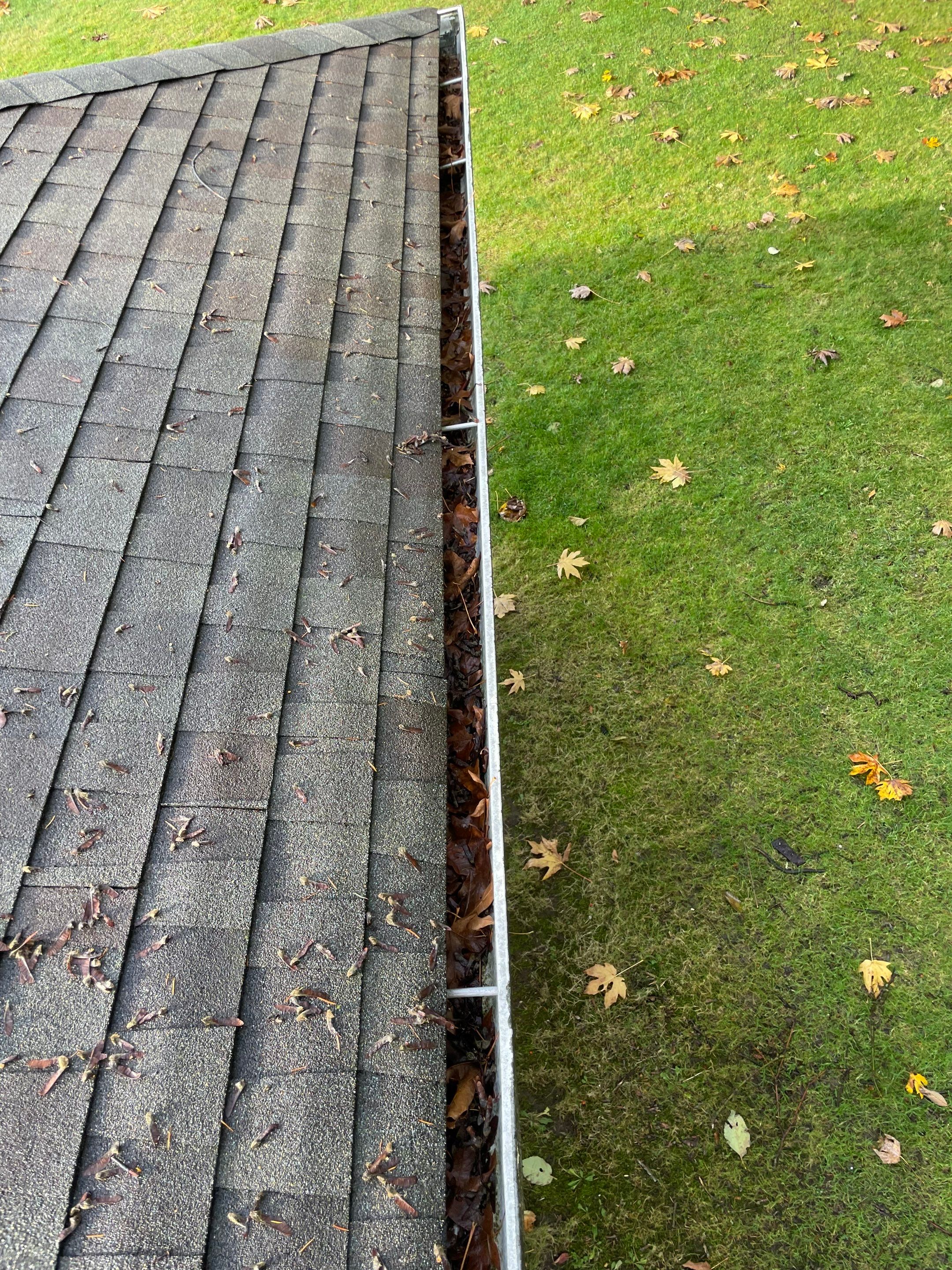 Commercial gutter cleaning Tacoma, WA before photo with filled gutters