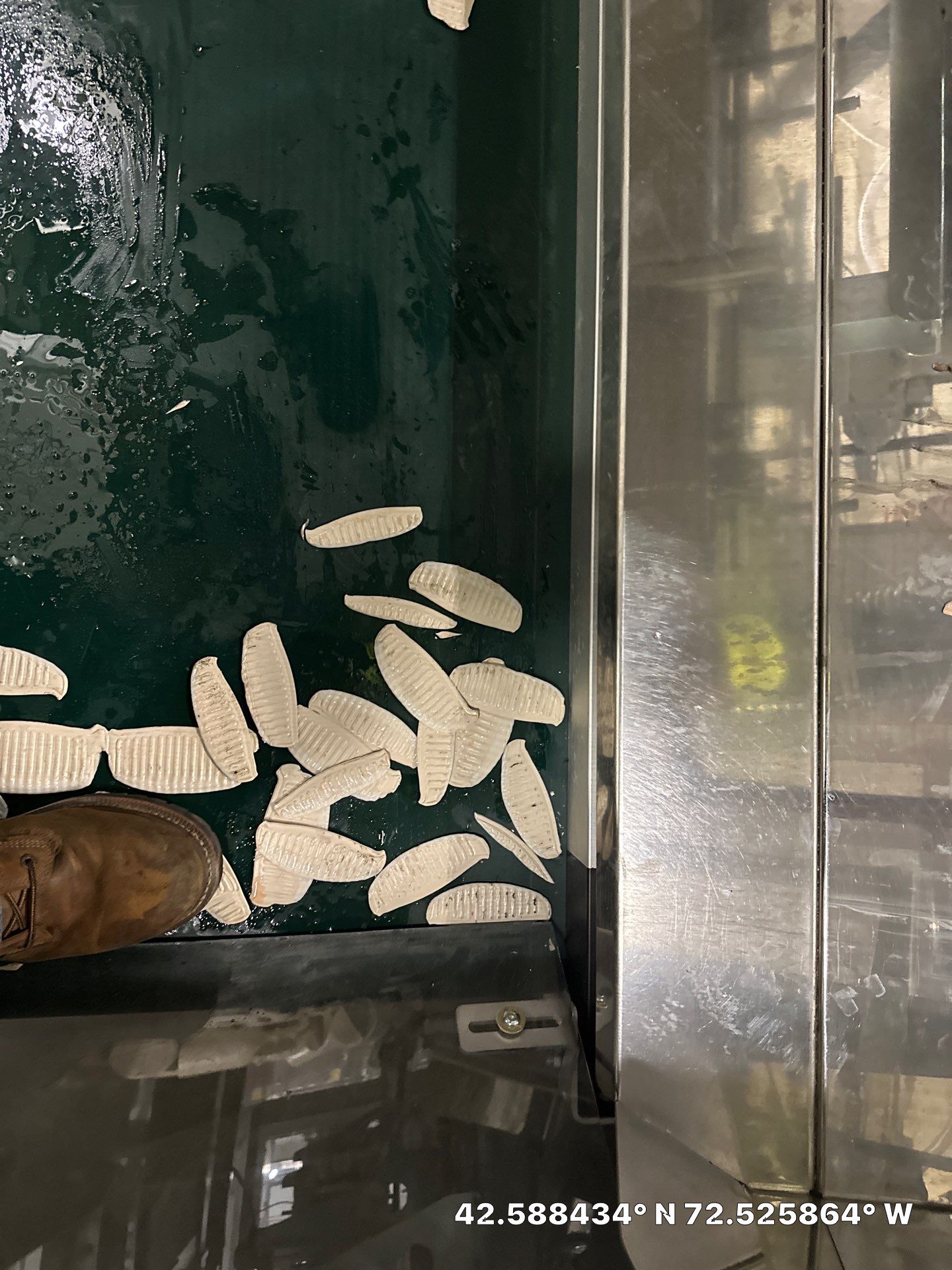 Project in Montague by Altium Packaging