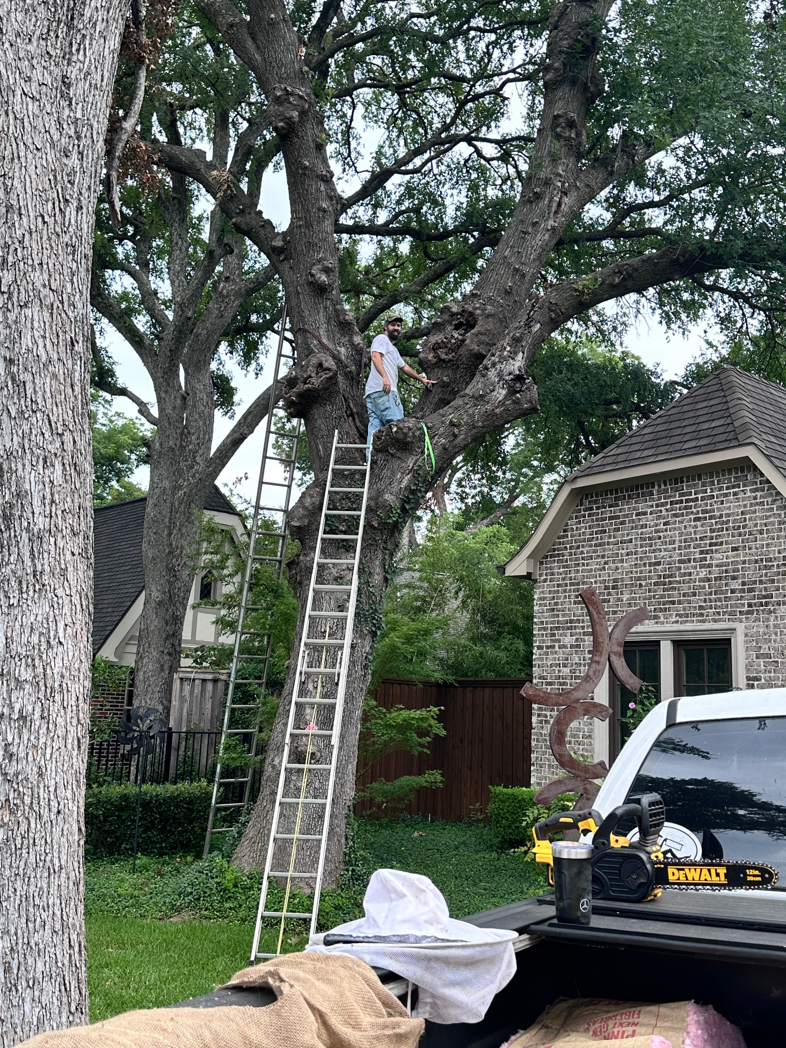 Smile! by Rockwall Honey Bee Company