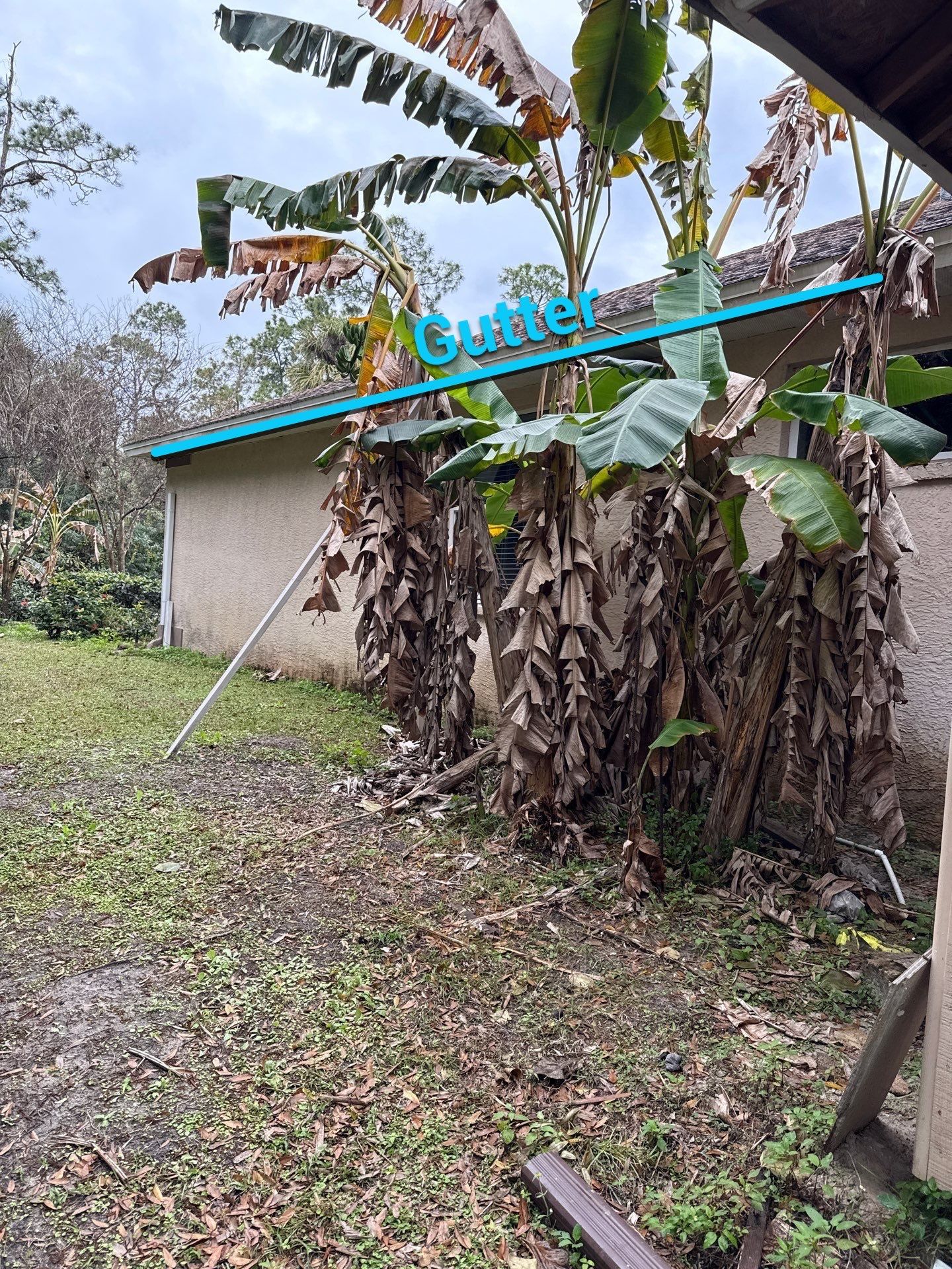 6 Inch Seamless Gutters using K-Style Seamless Gutters in Naples FL by Gutter Professors