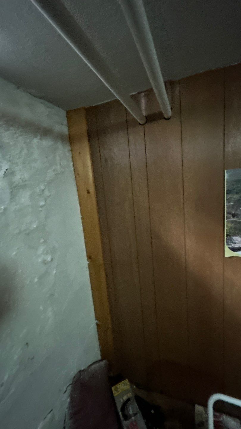 Mold Remediation by Accountable Home Services