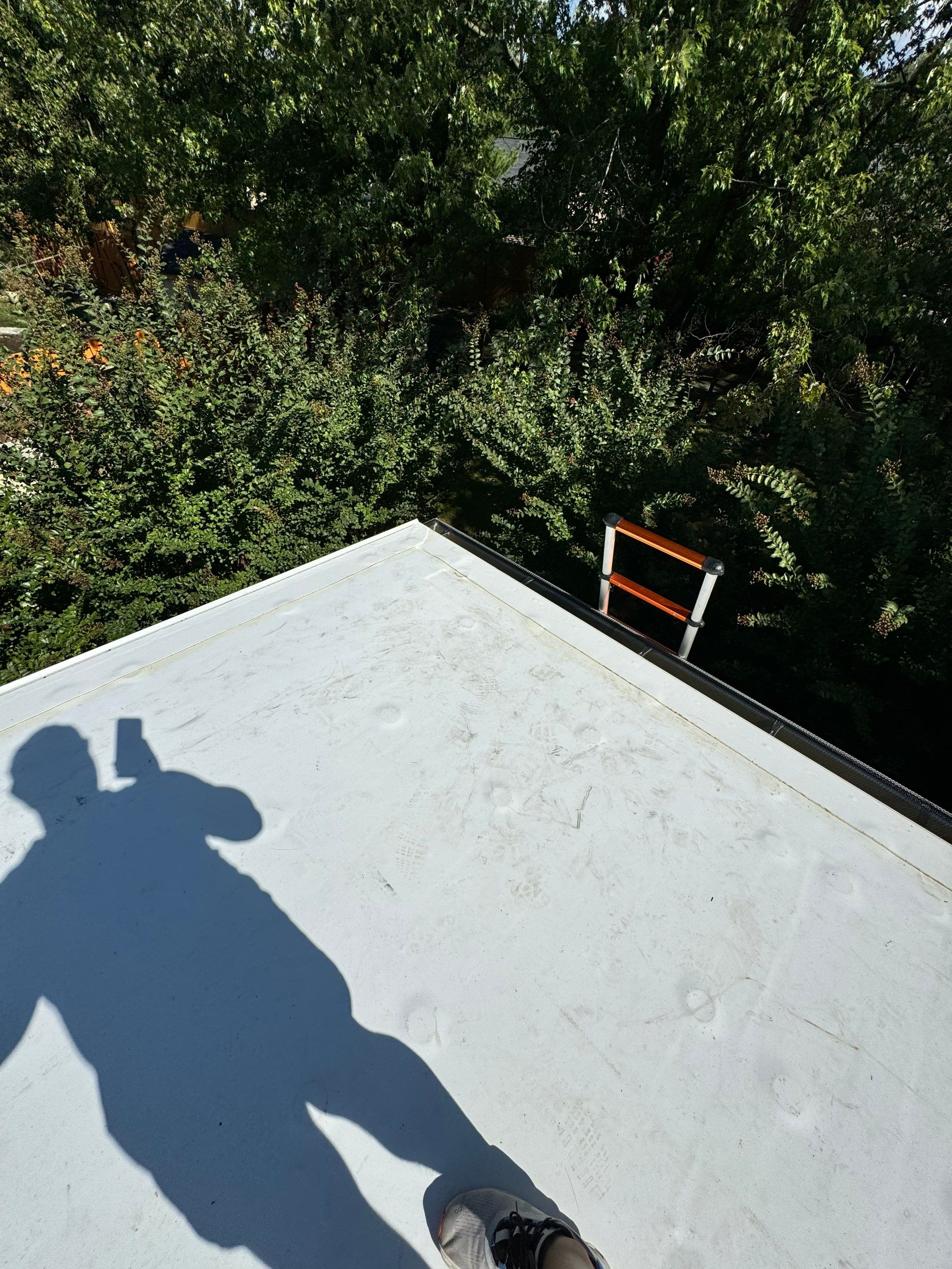 Alexandria: Residential Flat Roof Replacement with MuleHide TPO by RM Banning, Inc.