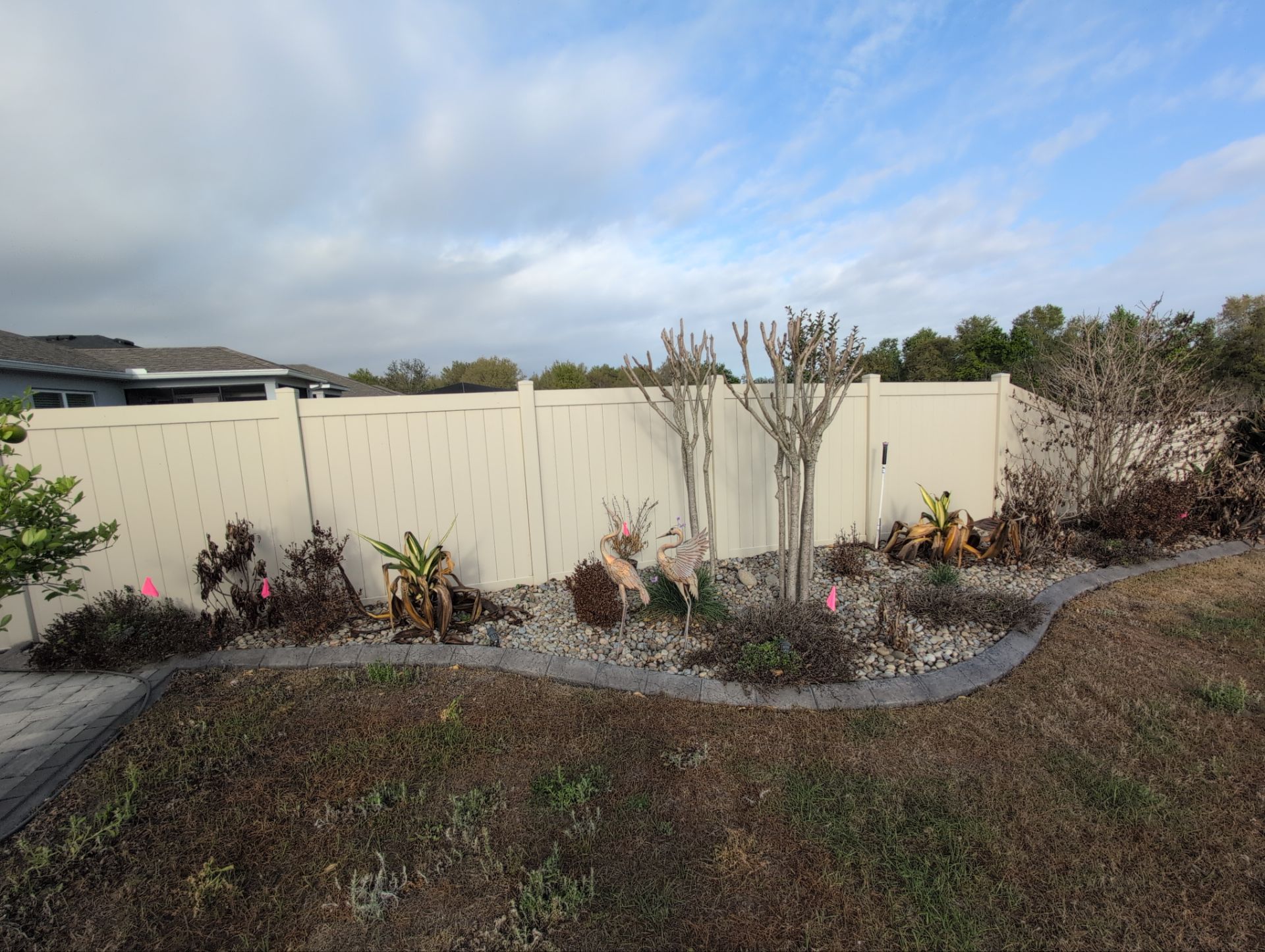 Cold Damage Plant Removal & Landscape Cleanup by
M.A.B. Landscaping & Property Maintenance