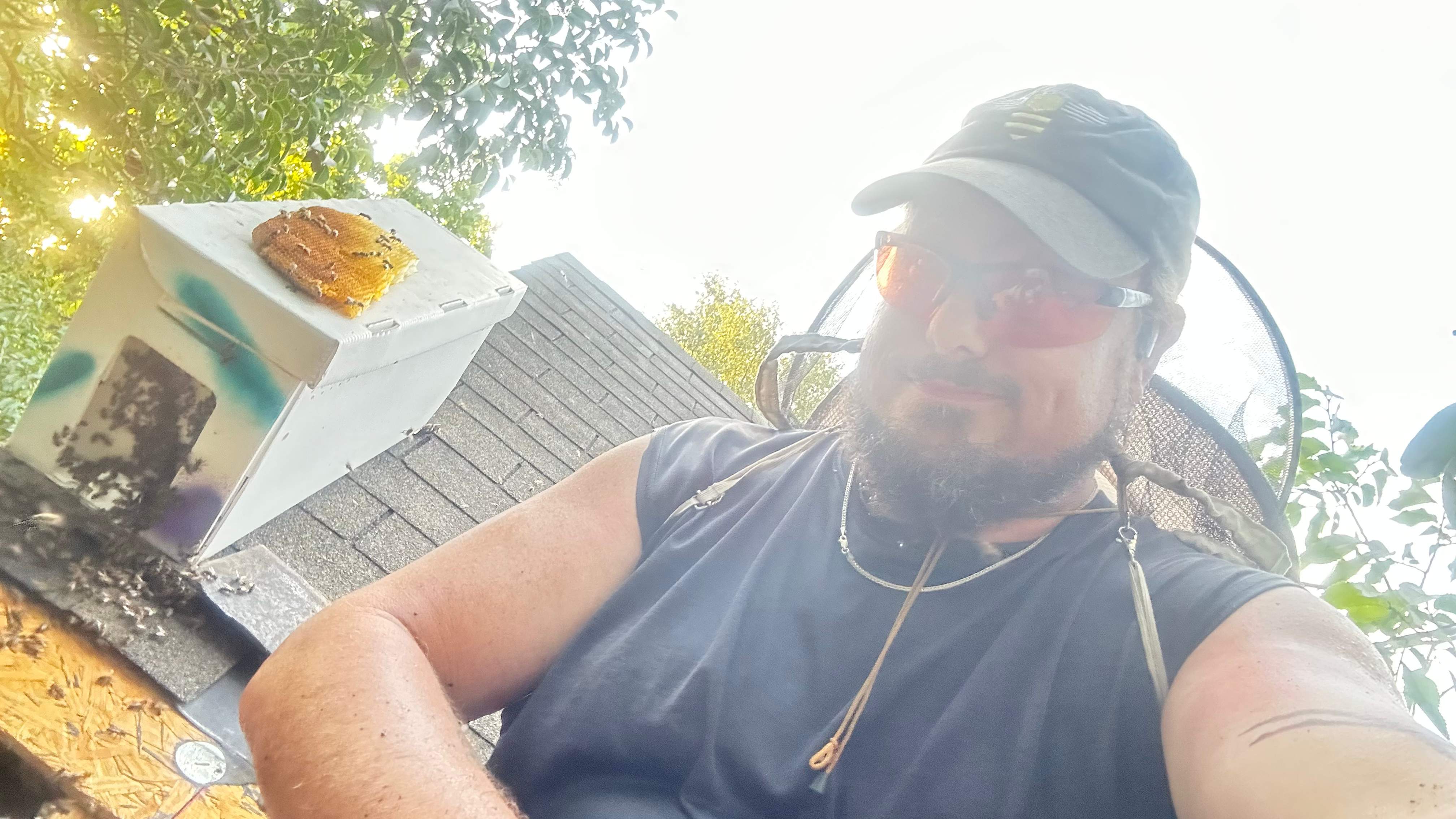 Under Shingles by Rockwall Honey Bee Company