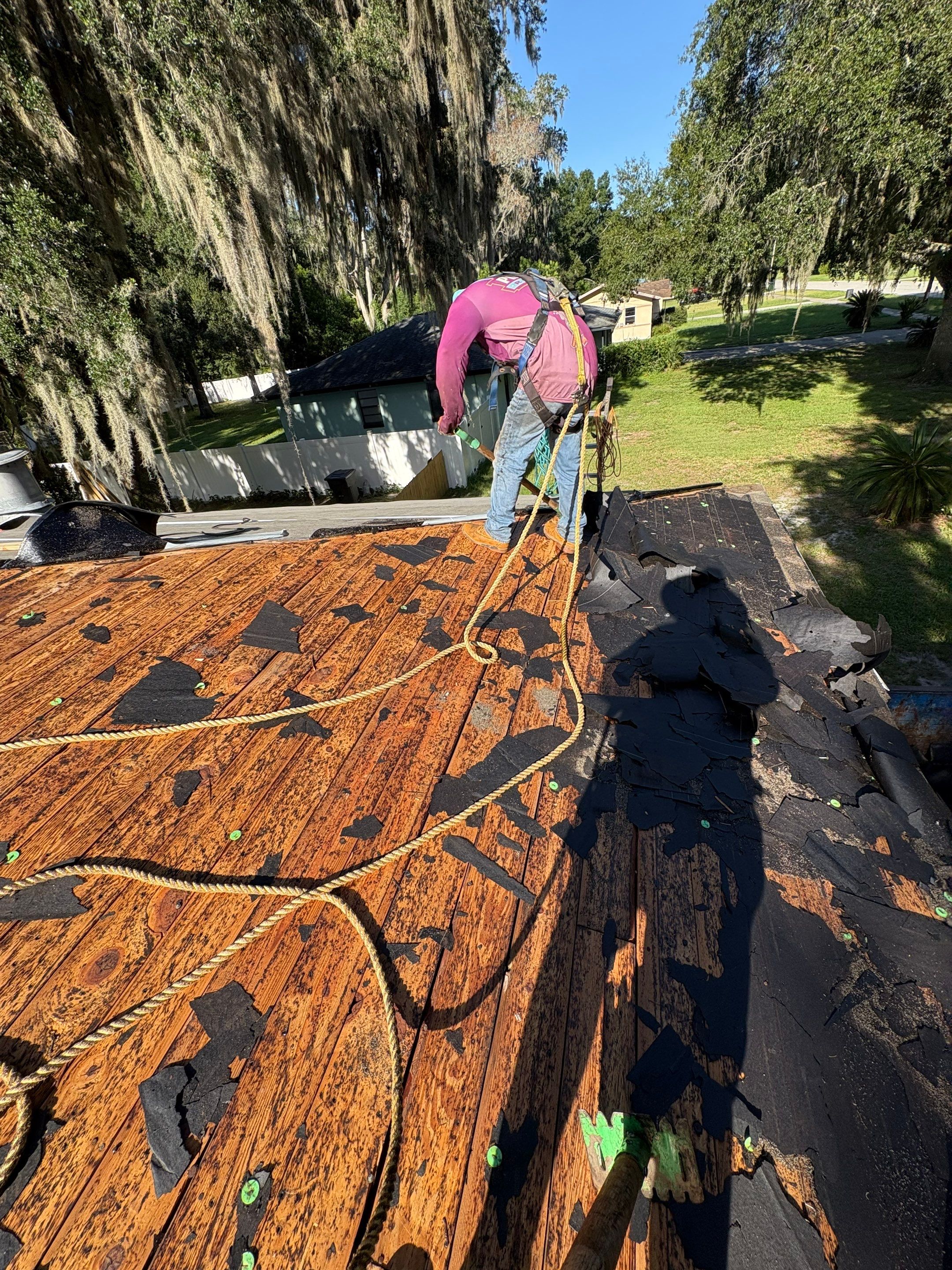 DeBary Residential Roof Replacement with Atlas Pinnacle Shingles and Wood Repair by Pinnacle Roofing Group