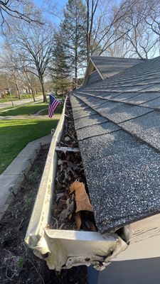 Turtle Shell gutter protection installation in Wheaton, IL 60189, photograph 10
