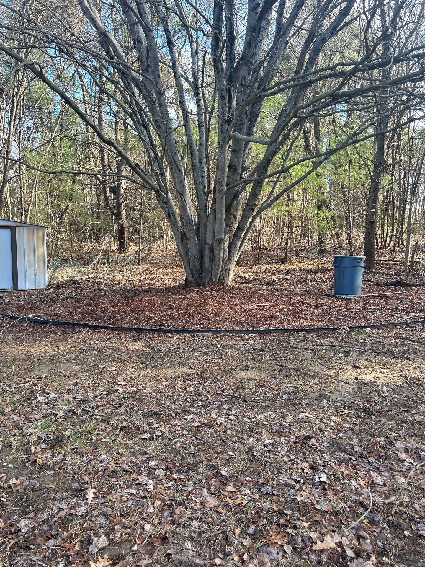 Landscape Walkthrough by LaMere Landscaping and Property Maintenance