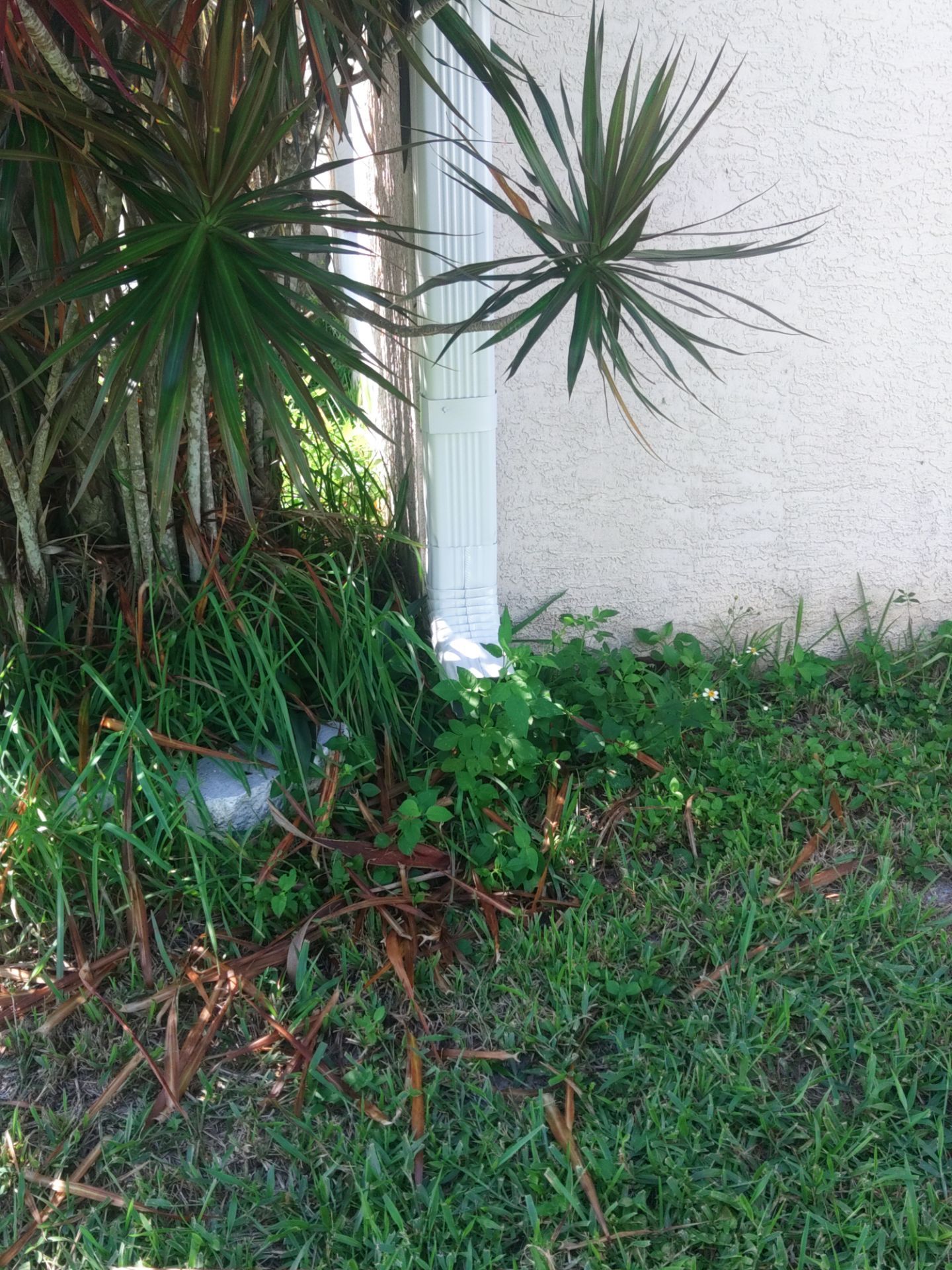 Splash Guards in Cape Coral FL by Gutter Professors