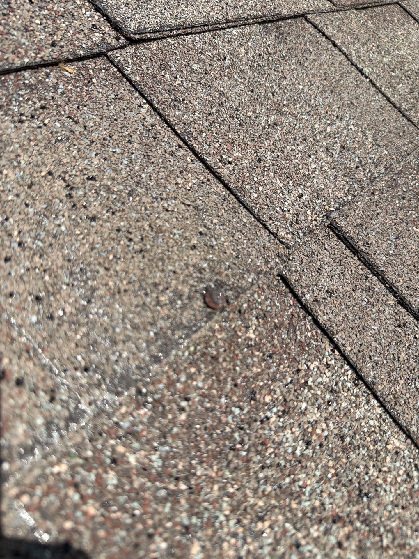 Hanley Downs Neighborhood – Comprehensive Roof Inspection by Acute Roofing And Exteriors 