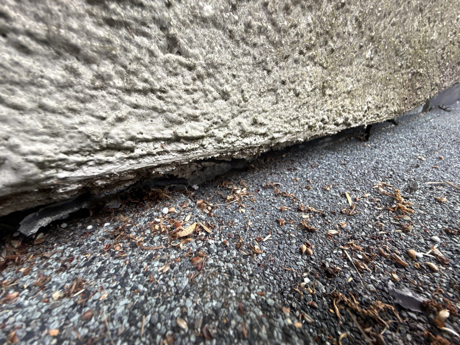 Roof Repair Katy by Roof Repair Services LLC
